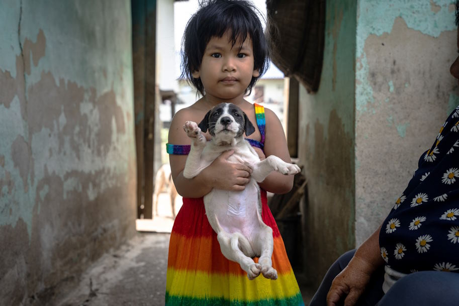 bond between humans and animals